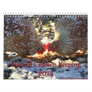 Pollo natural que guarda 2014 calendarios