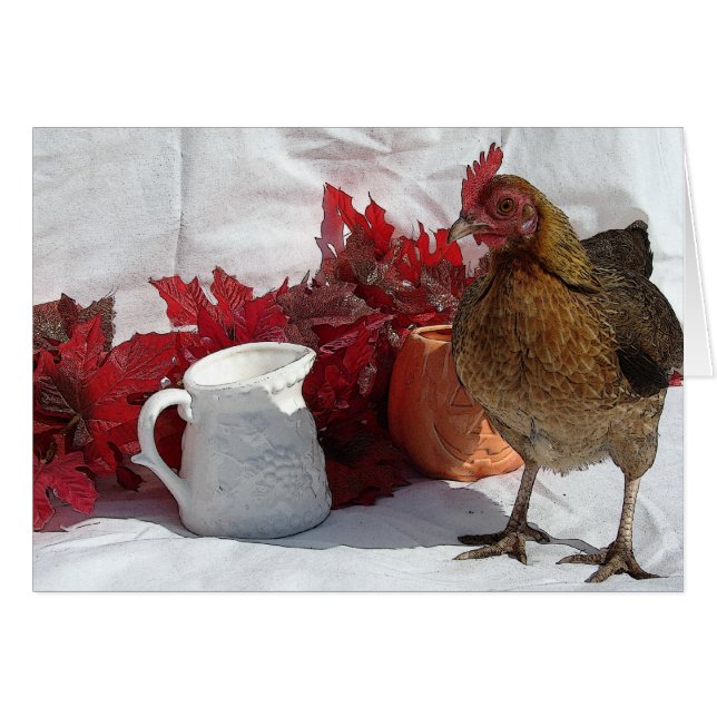 Pollo otoño (Anverso (Horizontal))