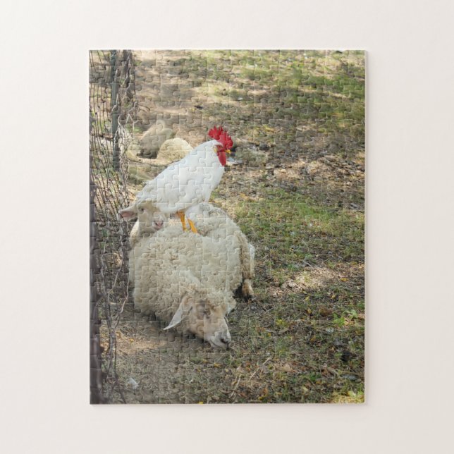 Pollo que se sienta en un rompecabezas de las (Vertical)