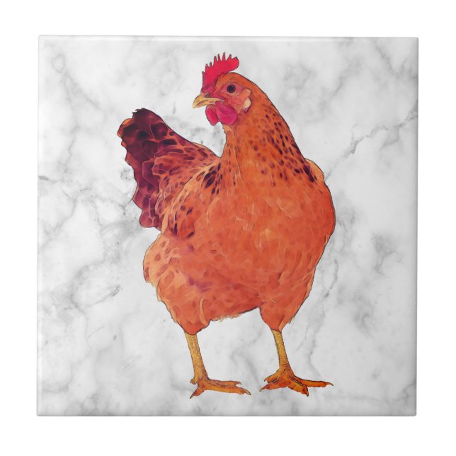 Pollo Recoleta R - Pequeña Azulejos Cerámicos (Frente)