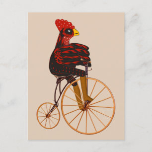 Pollo Rooster Montando Una Tarjeta De Bicicleta Vi