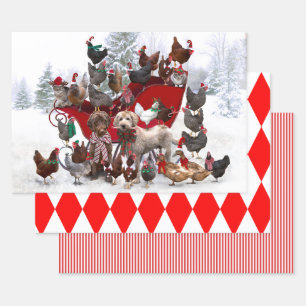 POLLOS CON SANTA ODIO Y PERROS ARRASTRANDO PAPEL