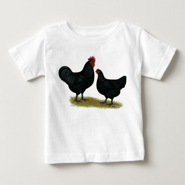 Pollos de Jersey Giant (Anverso)