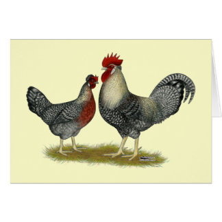 Pollos de la barra de la garganta
