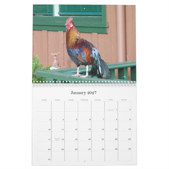 Pollos de la selva del calendario de Kauai 2010 (Jan 2027)