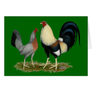 Pollos de oro de Duckwing