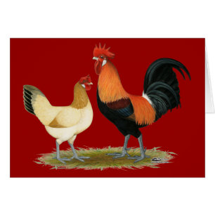 Pollos de Penedesenca