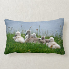 Pollos del cisne lindos del cisne - almohada