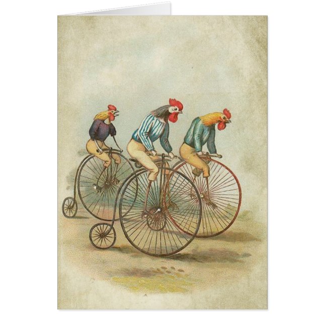 Pollos en bicicletas de época (Frente)