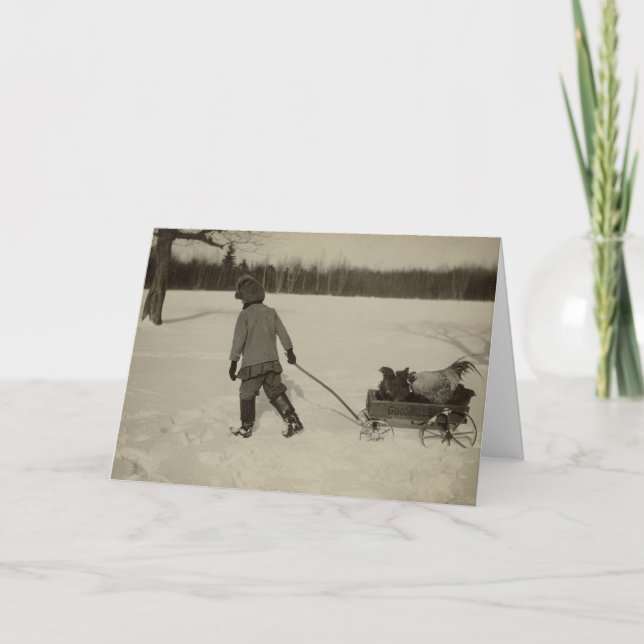 Pollos en tarjeta del día de fiesta de la nieve (Anverso)