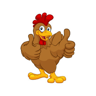 pollos y camisetas familiares