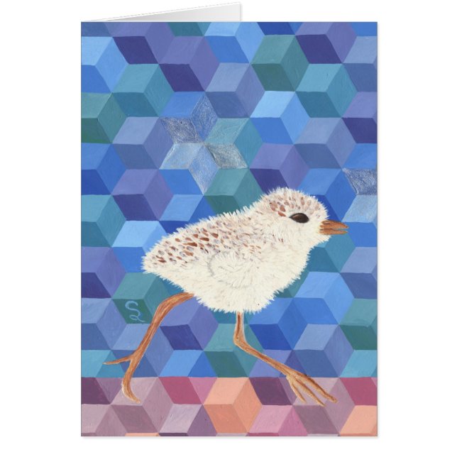 Polluelo del chorlito nevado (Frente)