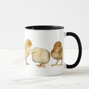 polluelos que cruzan la taza