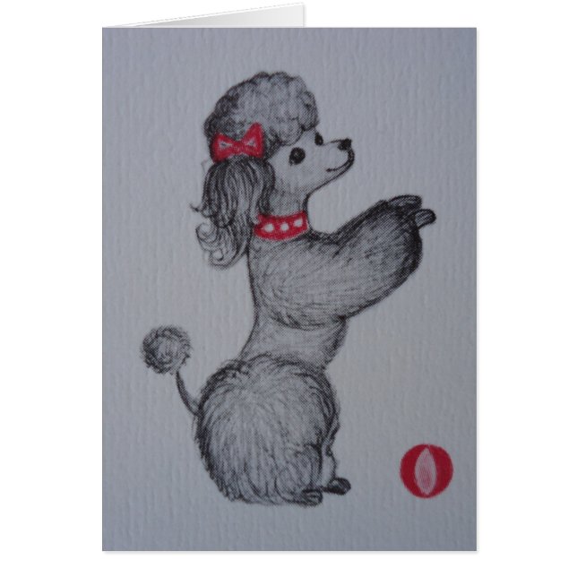 Polly el caniche (Frente)