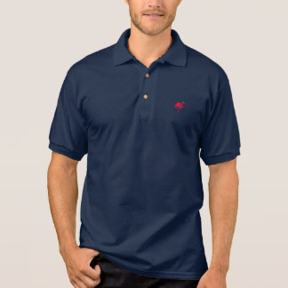 Polo Aryntin