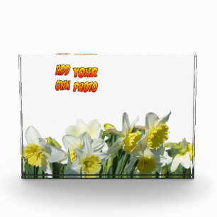 Polvo blanco y amarillo. Bloque para fotos