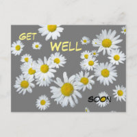 Polvo de margaritas blancas. Tarjeta postal color 