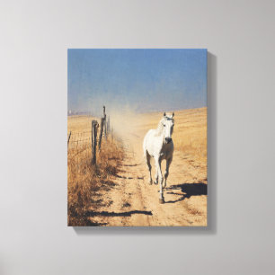 Polvo de Sendero Desértico Caballo Blanco Arte