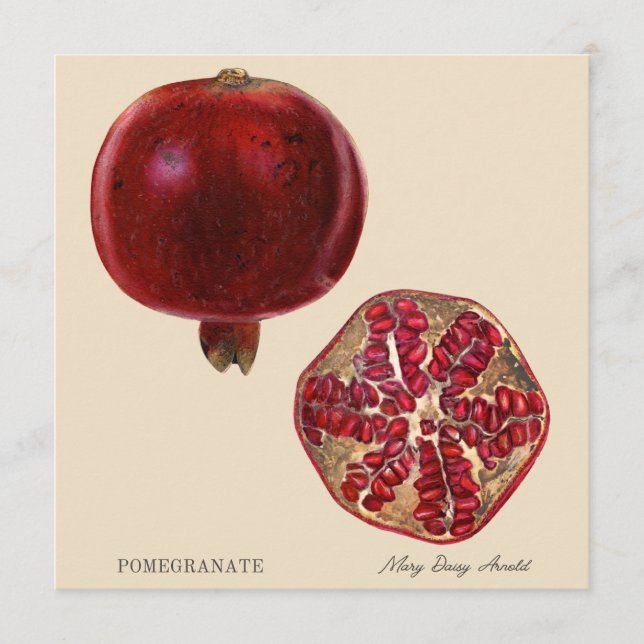 Pomegranate by Mary Daisy Arnold (Anverso)