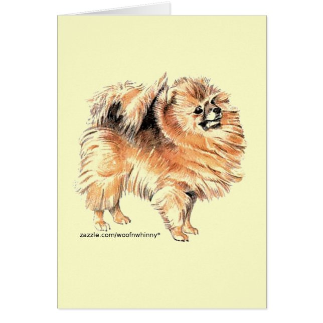 ¡Pomerania! (Frente)