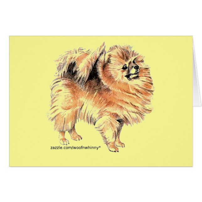 ¡Pomerania! (Anverso (Horizontal))