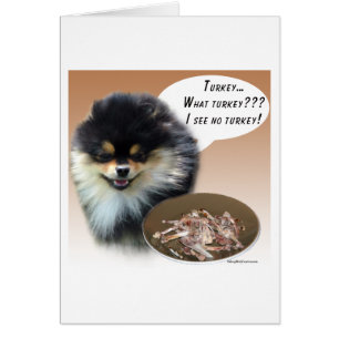 Pomerania (blktan) Turquía