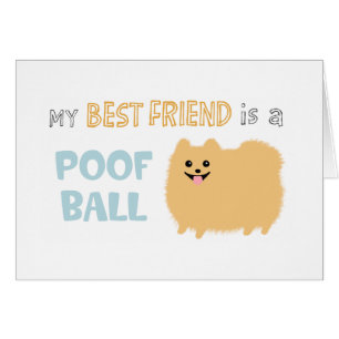 Pomerania Bola de Pelusa