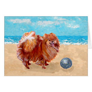Pomerania en la costa