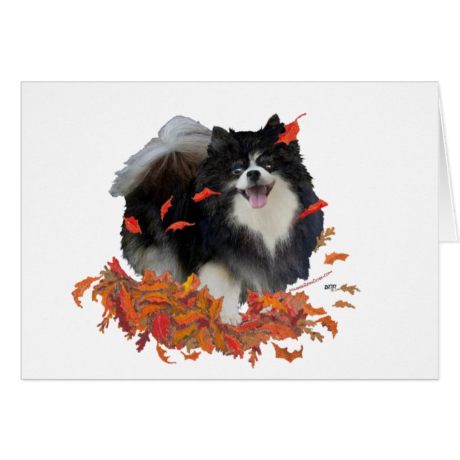 Pomerania en otoño (Anverso (Horizontal))
