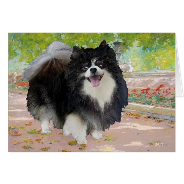 Pomerania en Paseo Umbrío (Anverso (Horizontal))