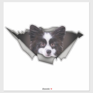 Pomerania pegatinas de perros decal de perro Pomer