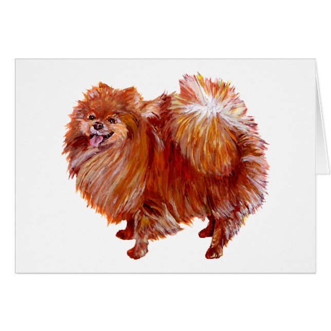 Pomerania Roja (Anverso (Horizontal))