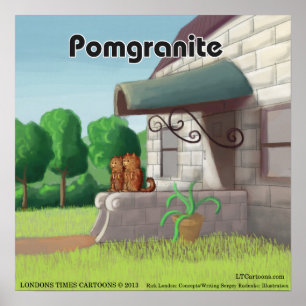 Pomerania Sobre Granito (PomGranite) Póster Divert