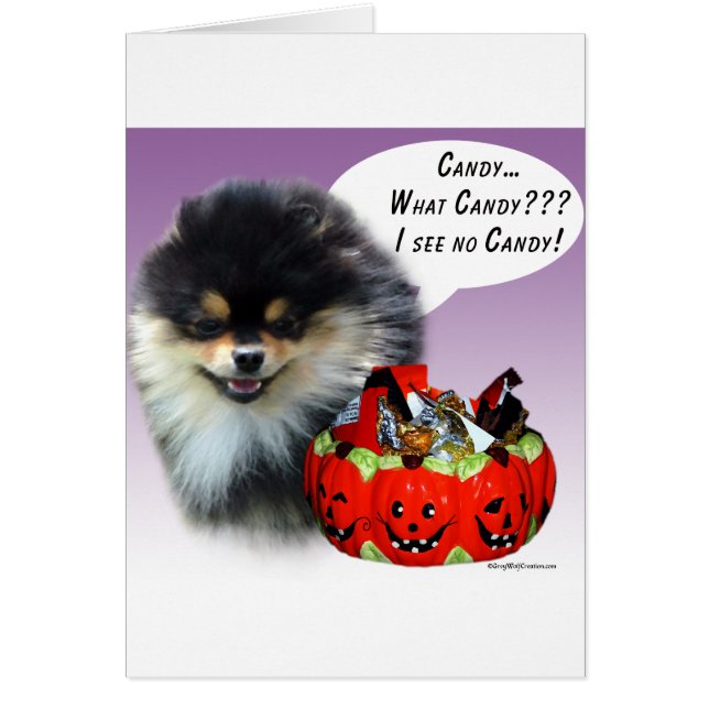 Pomeranian (blktan) Halloween Candy (Frente)