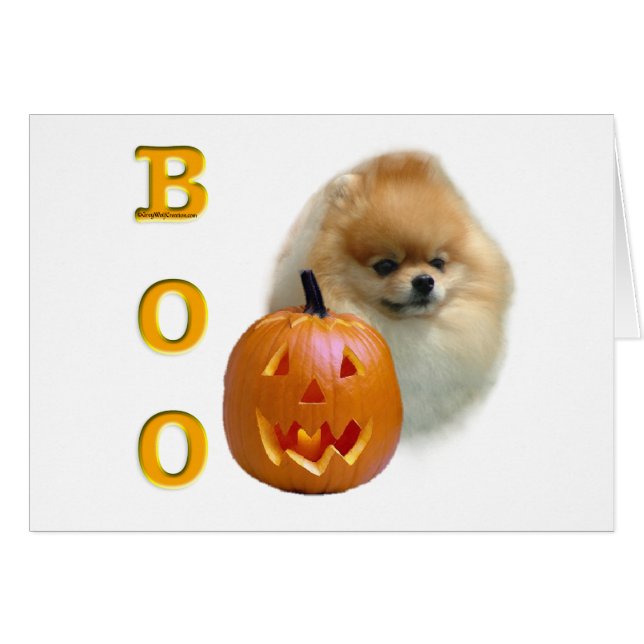 Pomeranian Boo (Anverso (Horizontal))