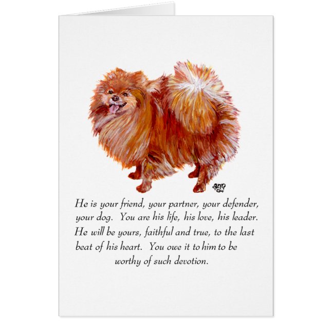 Pomeranian Keepsake Male (Frente)