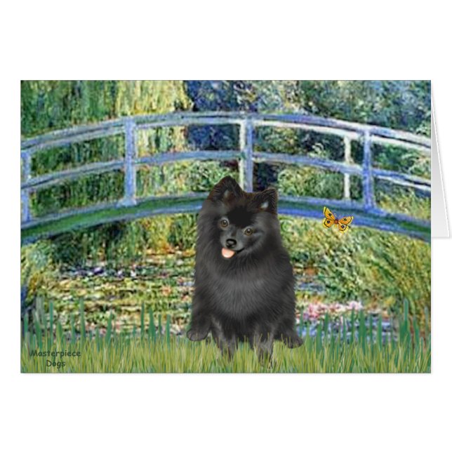 Pomeranian (negro) - Puente (Anverso (Horizontal))