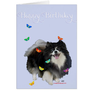 Pomerano con mariposas