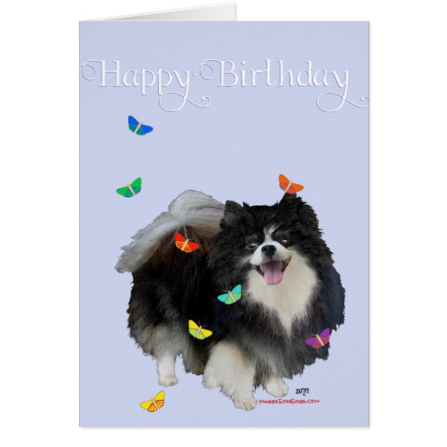 Pomerano con mariposas (Frente)