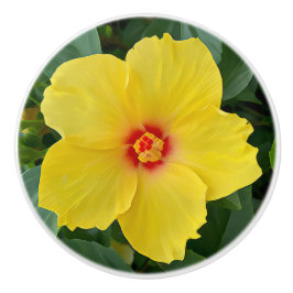 Pomo cerámico amarillo Hibiscus