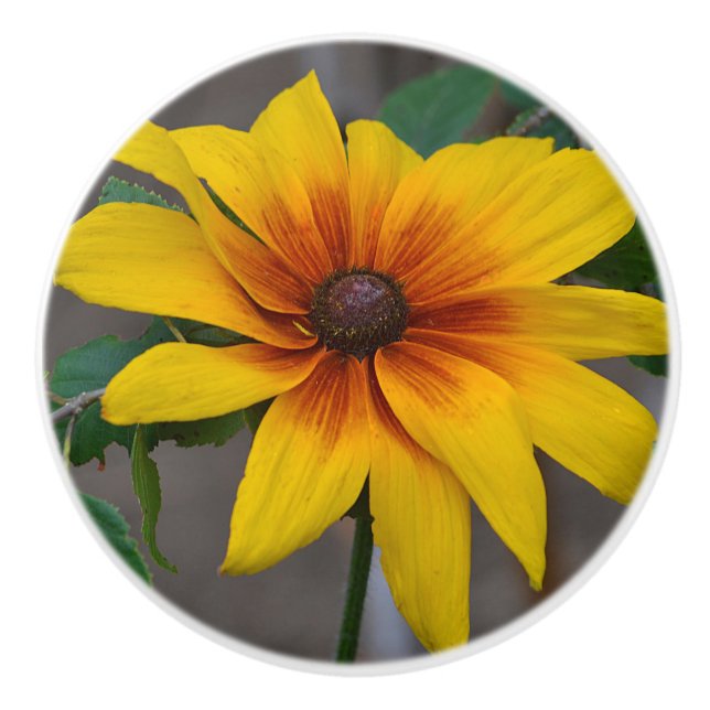 Pomo cerámico de flores (Anverso)