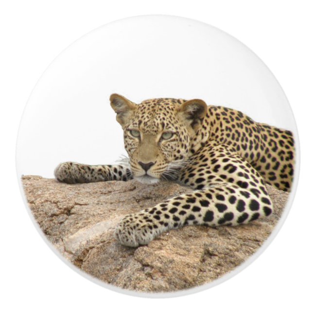 Pomo cerámico leopardo, derecha (Tirar para el gab (Anverso)