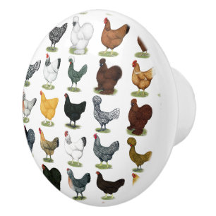 Pomo De Cerámica 49 gallinas del pollo