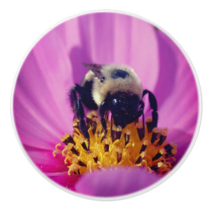 Pomo De Cerámica Abeja De Burbuja En Flor Cosmos