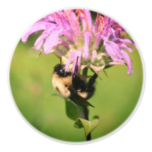 Pomo De Cerámica Abeja de burbujas en la flor de Bee Balm se acerca