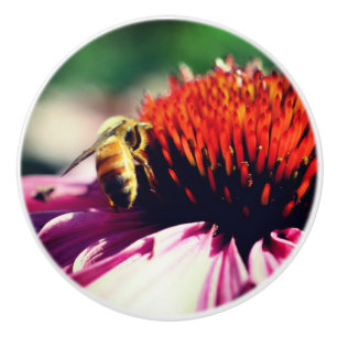 Pomo De Cerámica Abeja De Miel En El Cierre Del Coneflador