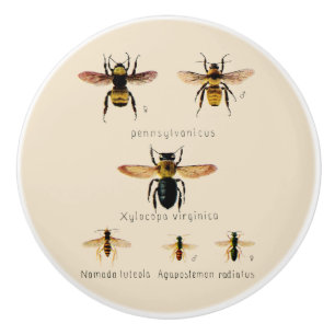 Pomo De Cerámica Abejas de época seis