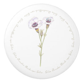 Pomo De Cerámica acuarela Gilia Ojos de Pájaro