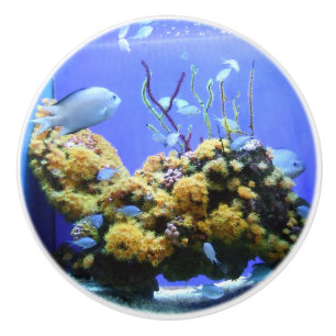 Pomo De Cerámica Acuario de peces Bowl Blue Fish