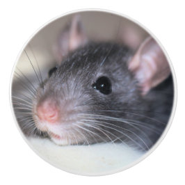 Pomo De Cerámica Adorable